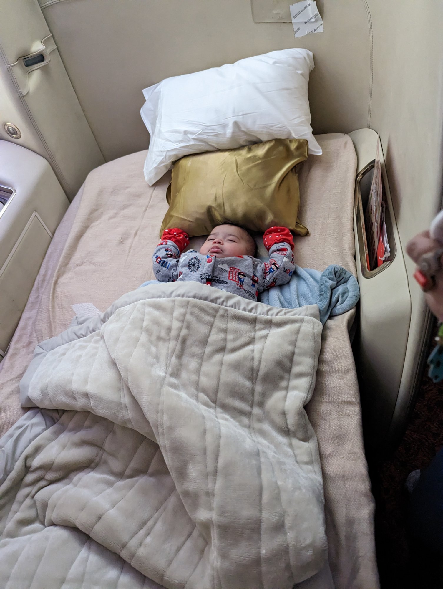 Iceberg · Newfoundland