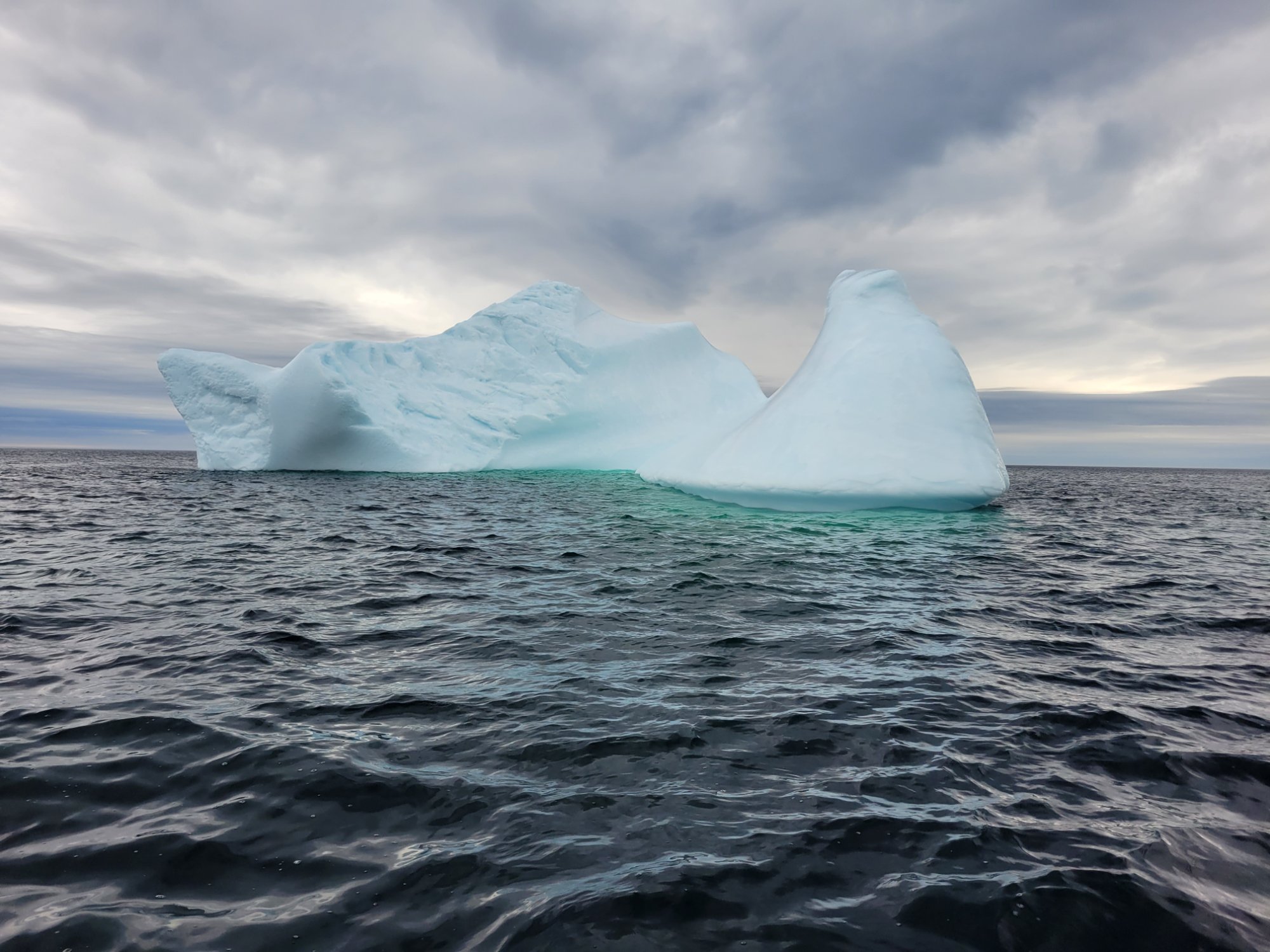 Iceberg · Newfoundland